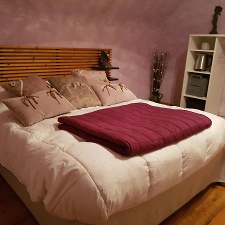 Nohant-en-Graçay Renaissance Bed & Breakfast エクステリア 写真